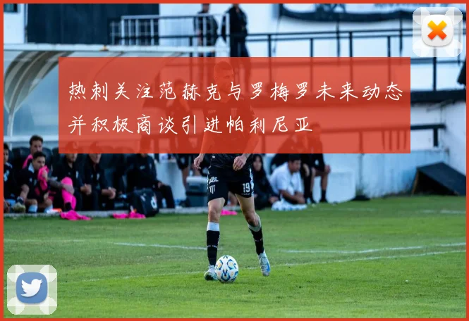 热刺关注范赫克与罗梅罗未来动态并积极商谈引进帕利尼亚