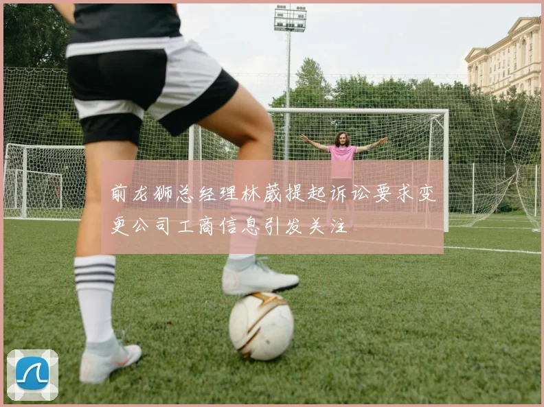 前龙狮总经理林葳提起诉讼要求变更公司工商信息引发关注